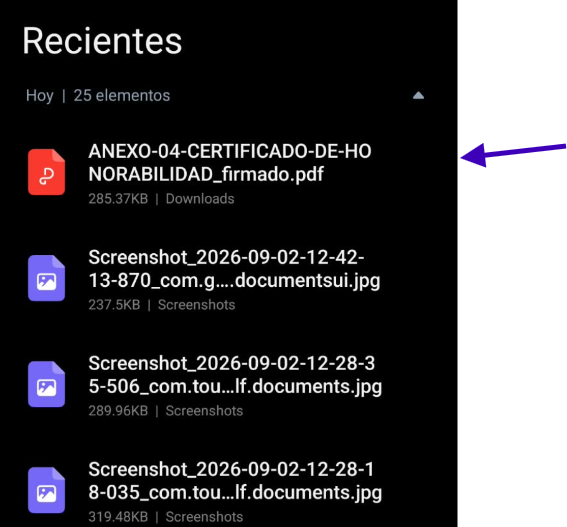 Archivo firmado